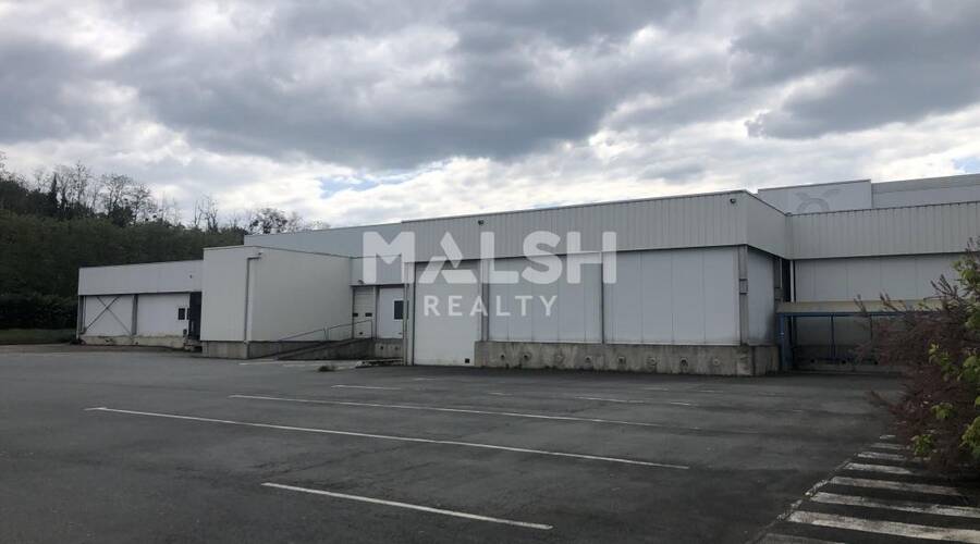 MALSH Realty & Property - Local d'activités - Extérieurs NORD (Villefranche / Belleville) - Alix - 23