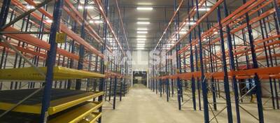 MALSH Realty & Property - Local d'activités - Extérieurs NORD (Villefranche / Belleville) - Alix - 11