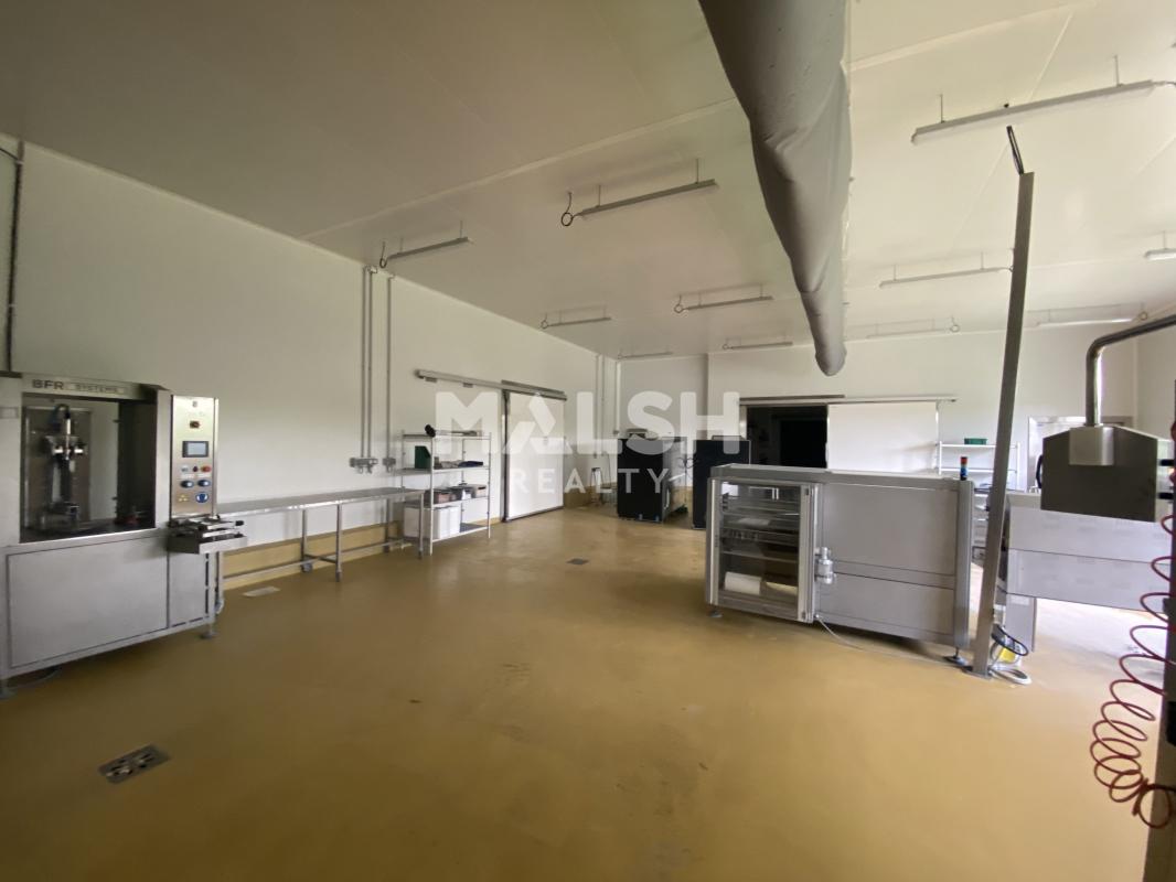 MALSH Realty & Property - Local d'activités - Extérieurs NORD (Villefranche / Belleville) - Alix - 9