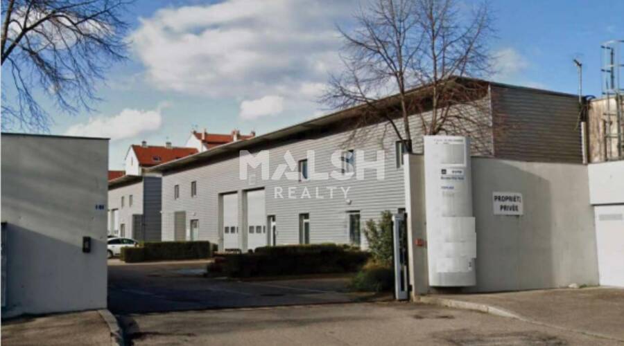 MALSH Realty & Property - Local d'activités - Lyon 7° / Gerland - Lyon 7 - 9