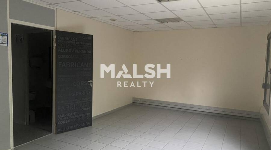 MALSH Realty & Property - Bureau - Lyon Nord Ouest (Techlid / Monts d'Or) - Tassin-la-Demi-Lune - 2
