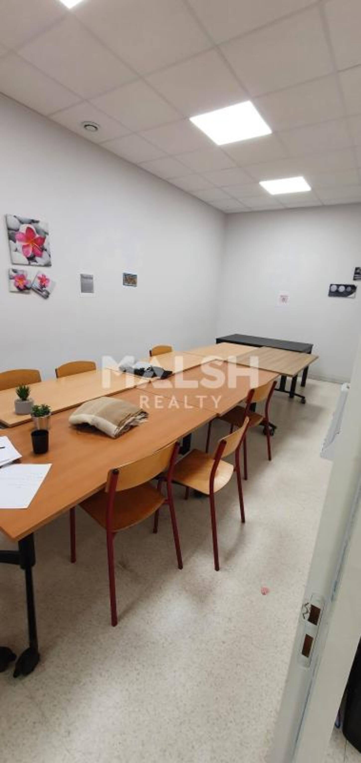 MALSH Realty & Property - Local commercial - Lyon Nord Ouest (Techlid / Monts d'Or) - Tassin-la-Demi-Lune - 2