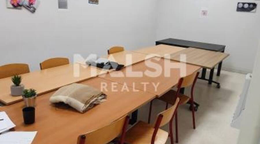 MALSH Realty & Property - Local commercial - Lyon Nord Ouest (Techlid / Monts d'Or) - Tassin-la-Demi-Lune - 2