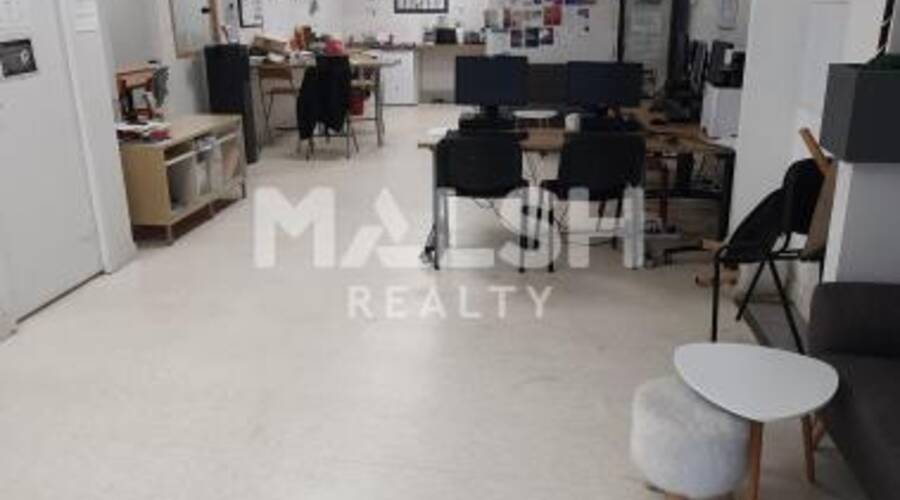 MALSH Realty & Property - Local commercial - Lyon Nord Ouest (Techlid / Monts d'Or) - Tassin-la-Demi-Lune - 3
