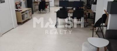 MALSH Realty & Property - Local commercial - Lyon Nord Ouest (Techlid / Monts d'Or) - Tassin-la-Demi-Lune - 3