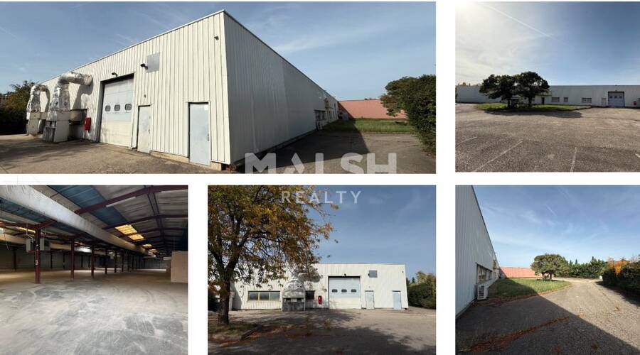 MALSH Realty & Property - Local d'activités - Lyon EST (St Priest /Mi Plaine/ A43 / Eurexpo) - Bron - 11