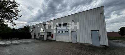 MALSH Realty & Property - Local d'activités - Lyon EST (St Priest /Mi Plaine/ A43 / Eurexpo) - Bron - 7