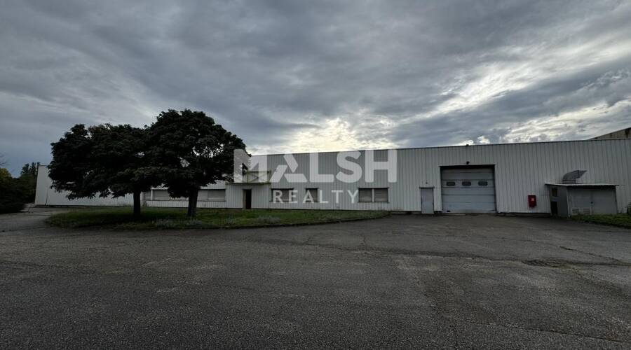 MALSH Realty & Property - Local d'activités - Lyon EST (St Priest /Mi Plaine/ A43 / Eurexpo) - Bron - 8