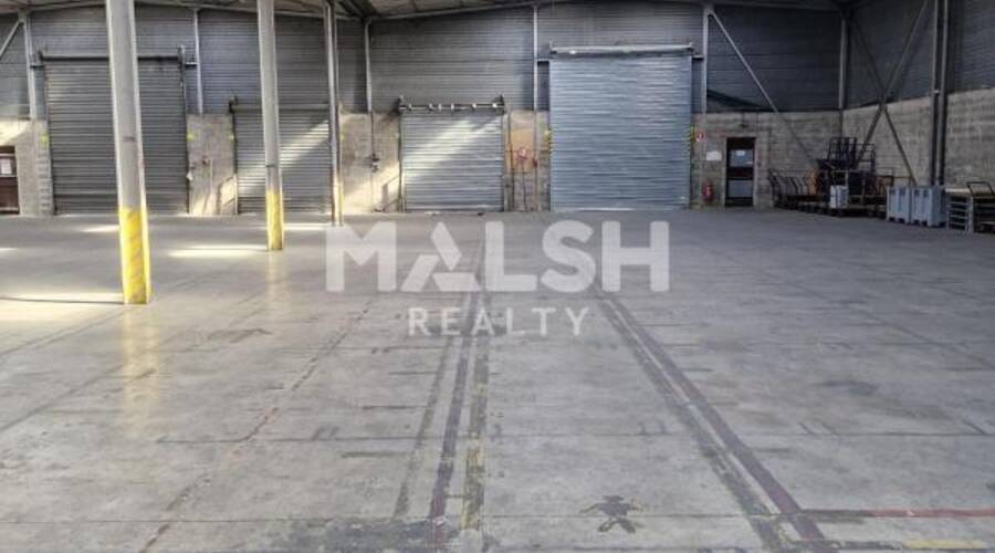 MALSH Realty & Property - Local d'activités - Carré de Soie / Grand Clément / Bel Air - Vaulx-en-Velin - 6