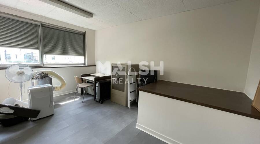 MALSH Realty & Property - Local d'activités - Carré de Soie / Grand Clément / Bel Air - Vaulx-en-Velin - 8