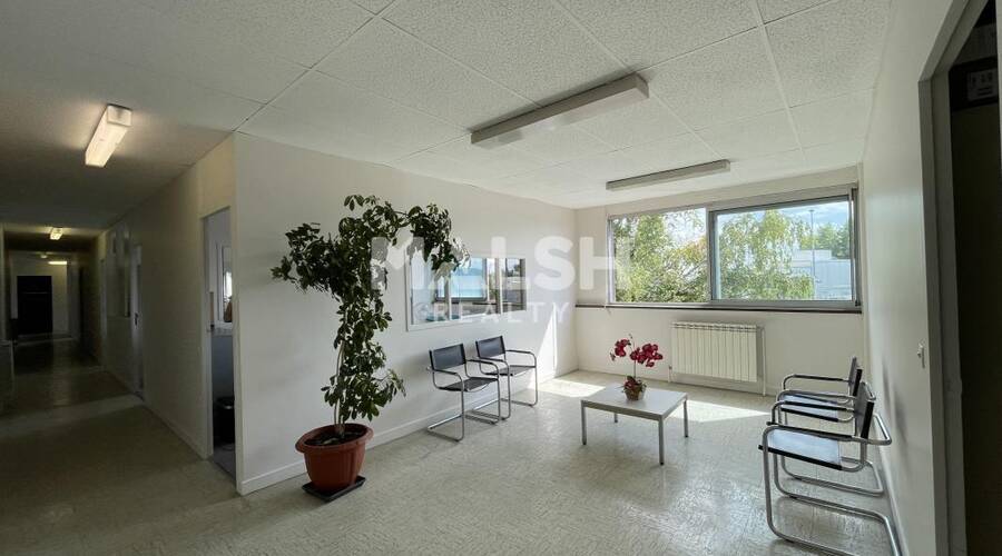 MALSH Realty & Property - Local d'activités - Carré de Soie / Grand Clément / Bel Air - Vaulx-en-Velin - 9