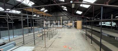 MALSH Realty & Property - Local d'activités - Saint-Etienne Métropole - Saint-Étienne - 1