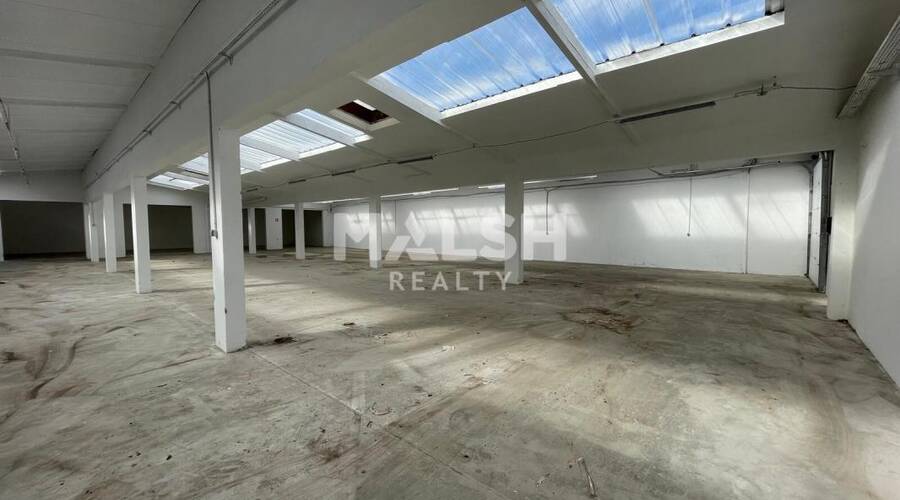 MALSH Realty & Property - Local d'activités - Carré de Soie / Grand Clément / Bel Air - Villeurbanne - 2