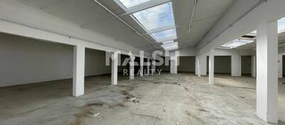 MALSH Realty & Property - Local d'activités - Carré de Soie / Grand Clément / Bel Air - Villeurbanne - 3