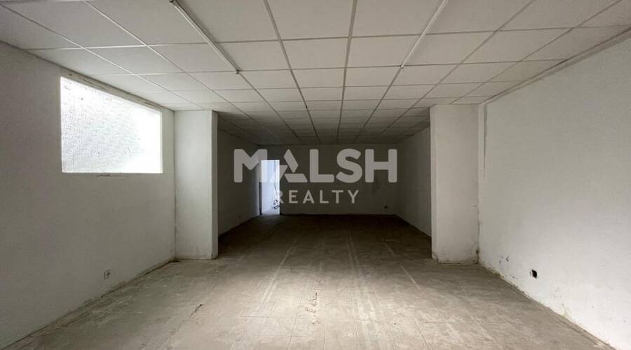 MALSH Realty & Property - Local d'activités - Carré de Soie / Grand Clément / Bel Air - Villeurbanne - 6