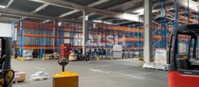 MALSH Realty & Property - Local d'activités - Nord Isère ( Ile d'Abeau / St Quentin Falavier ) - Saint-Quentin-Fallavier - 2