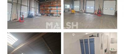 MALSH Realty & Property - Local d'activités - Nord Isère ( Ile d'Abeau / St Quentin Falavier ) - Saint-Quentin-Fallavier - 9