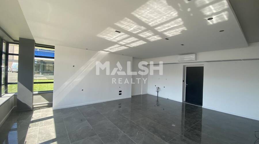 MALSH Realty & Property - Local d'activités - Extérieurs NORD (Villefranche / Belleville) - Anse - 7