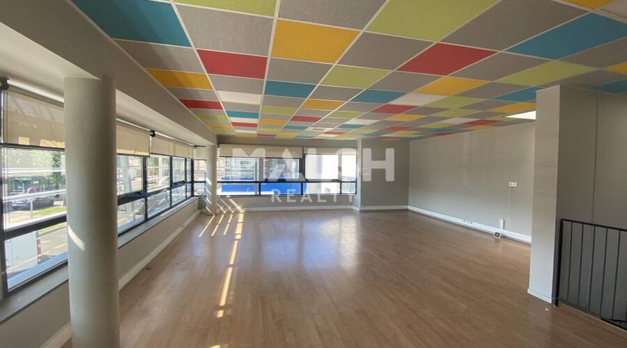 MALSH Realty & Property - Local d'activités - Extérieurs NORD (Villefranche / Belleville) - Anse - 9