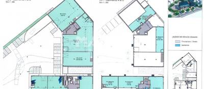 MALSH Realty & Property - Local d'activités - Lyon 7° / Gerland - Lyon 7 - 3