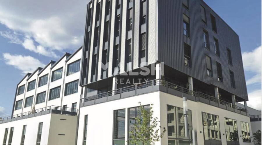 MALSH Realty & Property - Local d'activités - Lyon 7° / Gerland - Lyon 7 - 1