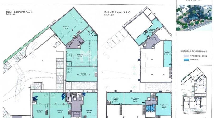 MALSH Realty & Property - Local d'activités - Lyon 7° / Gerland - Lyon 7 - 3