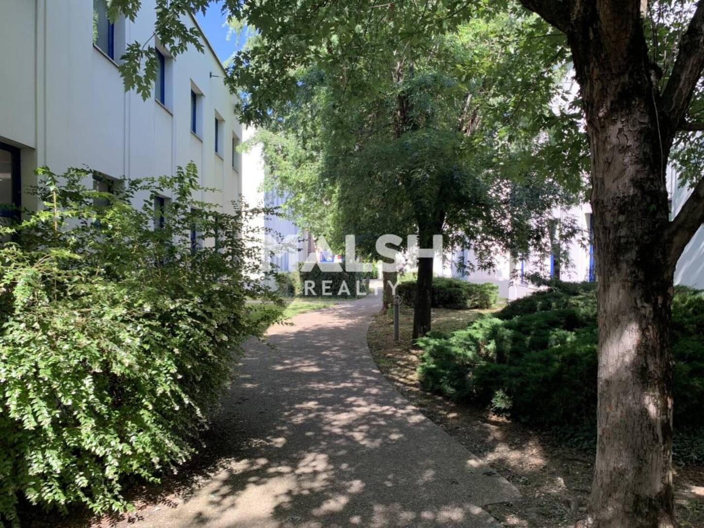 MALSH Realty & Property - Bureau - Carré de Soie / Grand Clément / Bel Air - Villeurbanne - 2