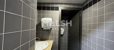 MALSH Realty & Property - Local d'activités - Lyon Nord Est (Rhône Amont) - Décines-Charpieu - 12