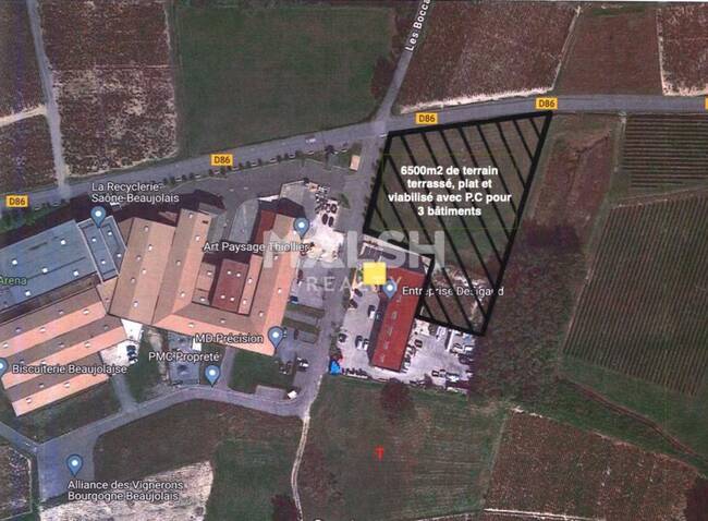 MALSH Realty & Property - Terrain - Extérieurs NORD (Villefranche / Belleville) - Lancié - 1