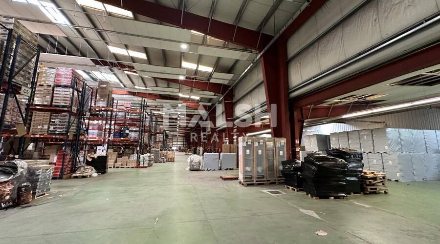 MALSH Realty & Property - Local d'activités - Nord Isère ( Ile d'Abeau / St Quentin Falavier ) - Nivolas-Vermelle - 7