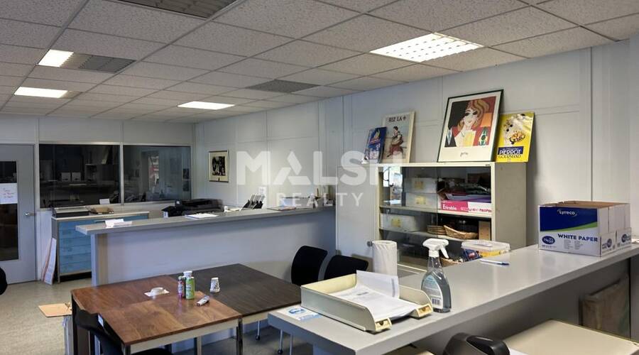 MALSH Realty & Property - Local d'activités - Nord Isère ( Ile d'Abeau / St Quentin Falavier ) - Nivolas-Vermelle - 15