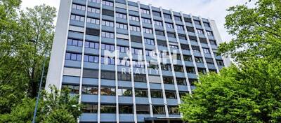 MALSH Realty & Property - Bureau - Carré de Soie / Grand Clément / Bel Air - Villeurbanne - 1