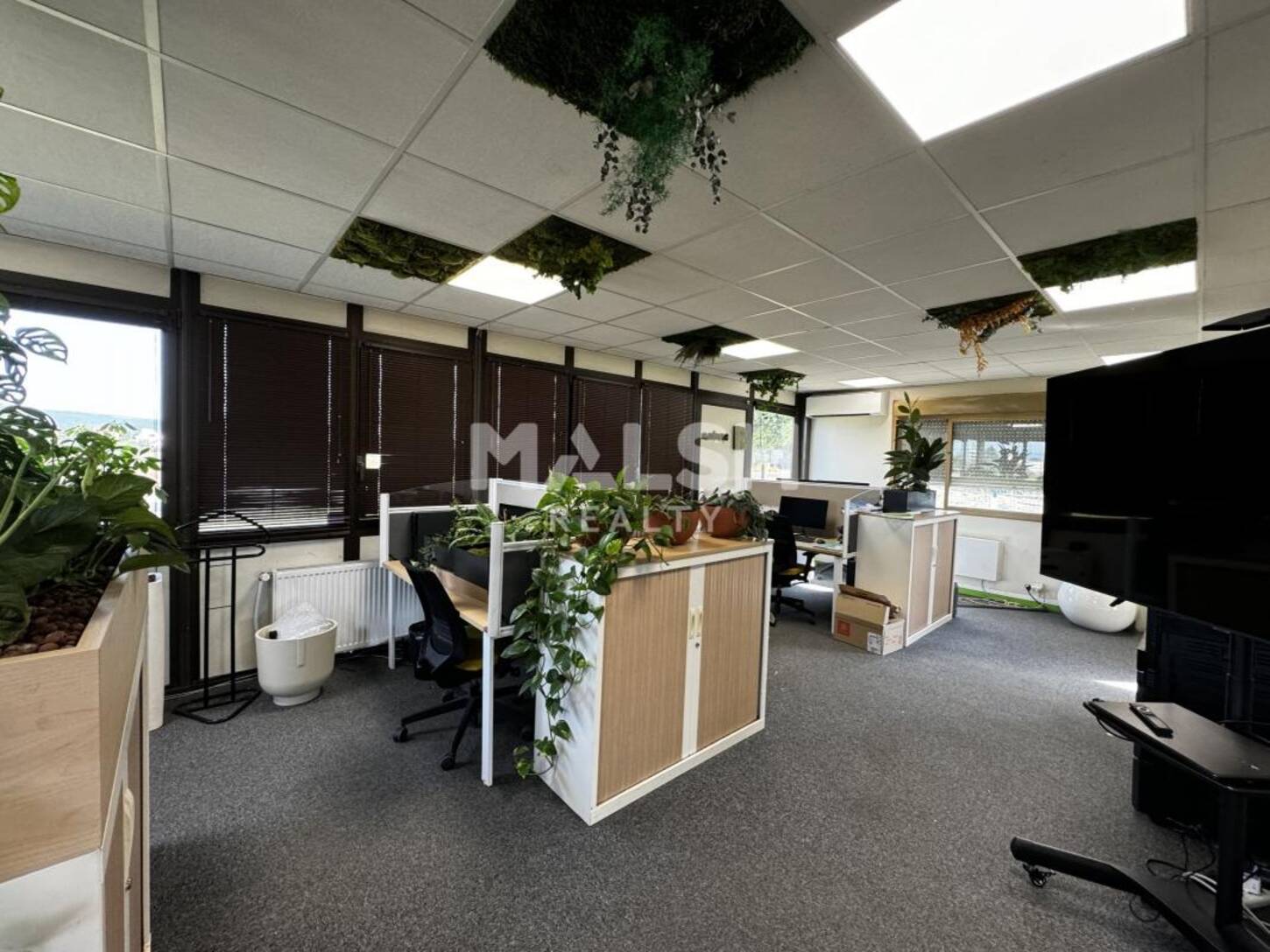 MALSH Realty & Property - Local d'activités - Plateau Nord / Val de Saône - Caluire-et-Cuire - 2