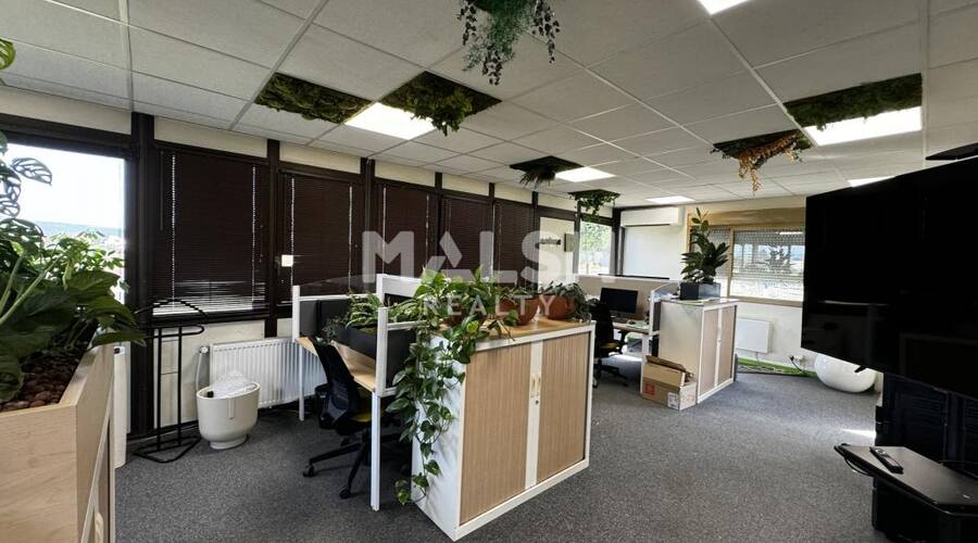 MALSH Realty & Property - Local d'activités - Plateau Nord / Val de Saône - Caluire-et-Cuire - 2