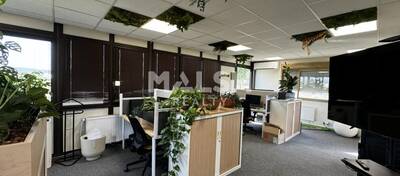 MALSH Realty & Property - Local d'activités - Plateau Nord / Val de Saône - Caluire-et-Cuire - 2