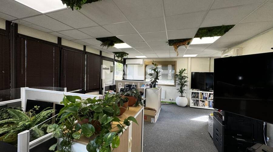 MALSH Realty & Property - Local d'activités - Plateau Nord / Val de Saône - Caluire-et-Cuire - 4