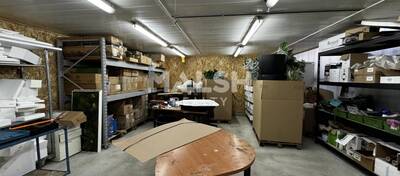 MALSH Realty & Property - Local d'activités - Plateau Nord / Val de Saône - Caluire-et-Cuire - 10