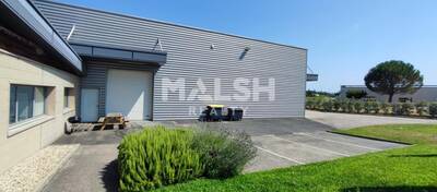 MALSH Realty & Property - Local d'activités - Lyon Sud Ouest - Vourles - 4