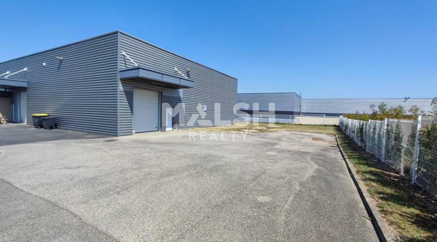 MALSH Realty & Property - Local d'activités - Lyon Sud Ouest - Vourles - 6