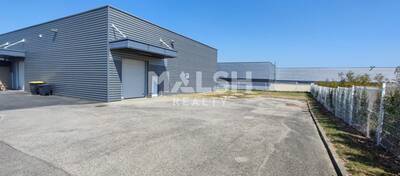MALSH Realty & Property - Local d'activités - Lyon Sud Ouest - Vourles - 6