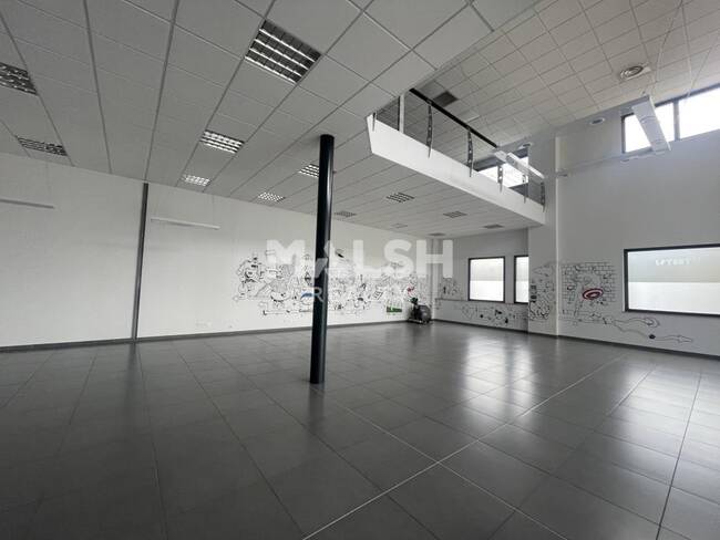 MALSH Realty & Property - Local commercial - Nord Isère ( Ile d'Abeau / St Quentin Falavier ) - Saint-Quentin-Fallavier - 1