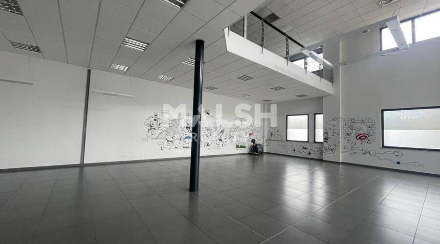 MALSH Realty & Property - Local commercial - Nord Isère ( Ile d'Abeau / St Quentin Falavier ) - Saint-Quentin-Fallavier - 1
