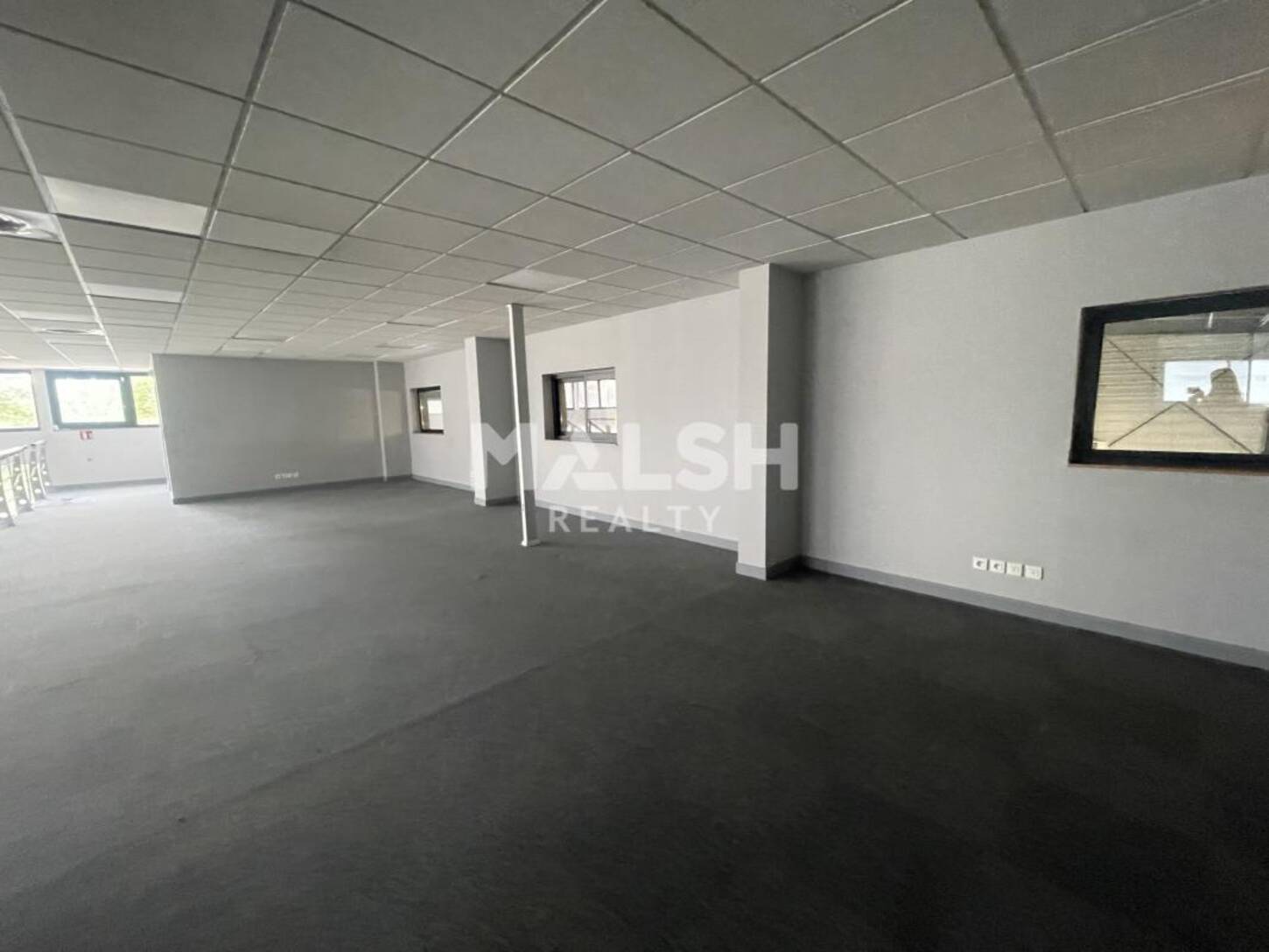 MALSH Realty & Property - Local commercial - Nord Isère ( Ile d'Abeau / St Quentin Falavier ) - Saint-Quentin-Fallavier - 2