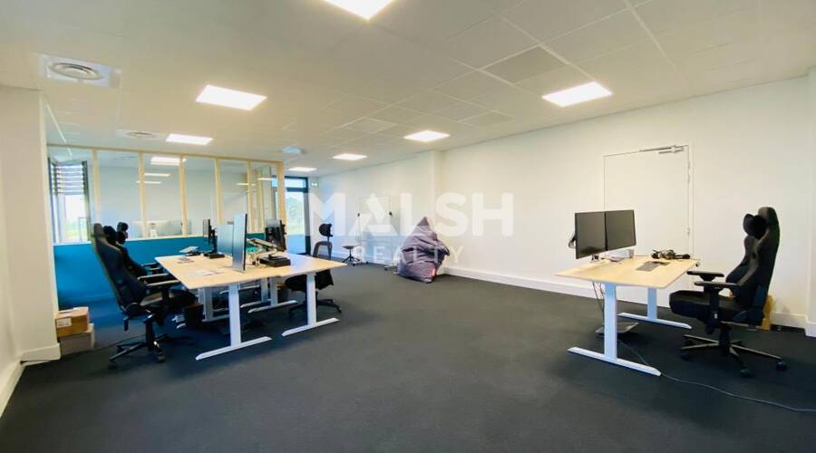 MALSH Realty & Property - Local d'activités - Lyon EST (St Priest /Mi Plaine/ A43 / Eurexpo) - Saint-Priest - 5