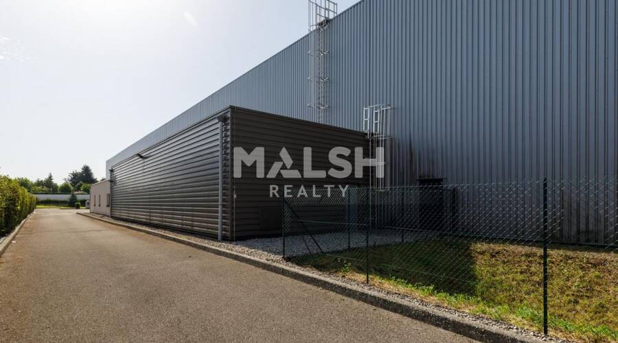 MALSH Realty & Property - Local d'activités - Côtière (Ain/A42/Beynost/Dagneux/Montluel) - Miribel - 3