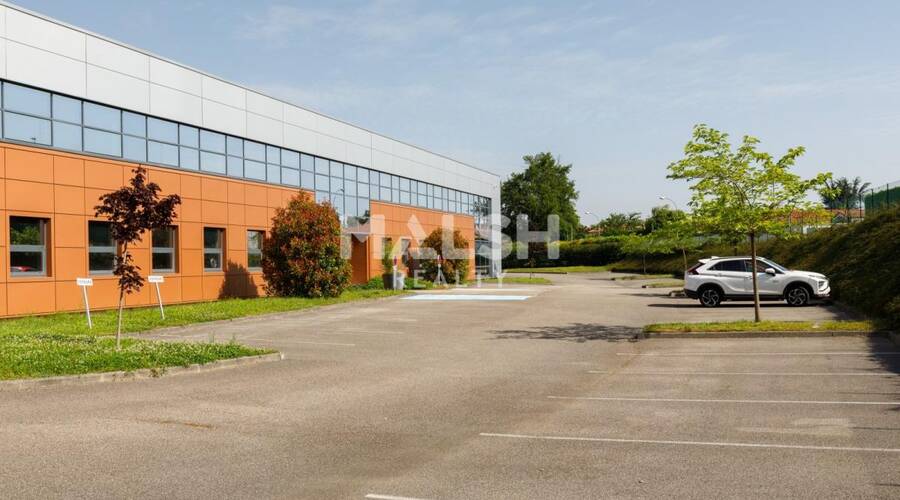 MALSH Realty & Property - Local d'activités - Côtière (Ain/A42/Beynost/Dagneux/Montluel) - Miribel - 5