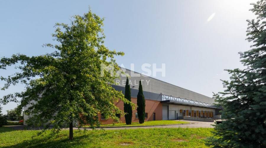 MALSH Realty & Property - Local d'activités - Côtière (Ain/A42/Beynost/Dagneux/Montluel) - Miribel - 7