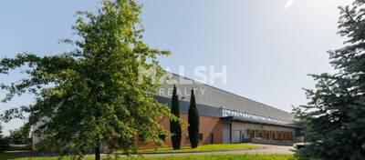 MALSH Realty & Property - Local d'activités - Côtière (Ain/A42/Beynost/Dagneux/Montluel) - Miribel - 7