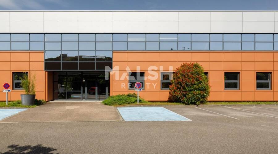 MALSH Realty & Property - Local d'activités - Côtière (Ain/A42/Beynost/Dagneux/Montluel) - Miribel - 8