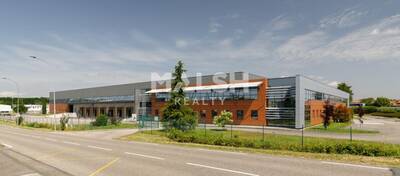 MALSH Realty & Property - Local d'activités - Côtière (Ain/A42/Beynost/Dagneux/Montluel) - Miribel - 1